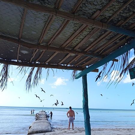 Mi Habitat Holbox-Maravilla Natural ภายนอก รูปภาพ