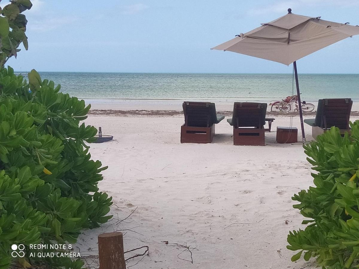 Mi Habitat Holbox-Maravilla Natural ภายนอก รูปภาพ