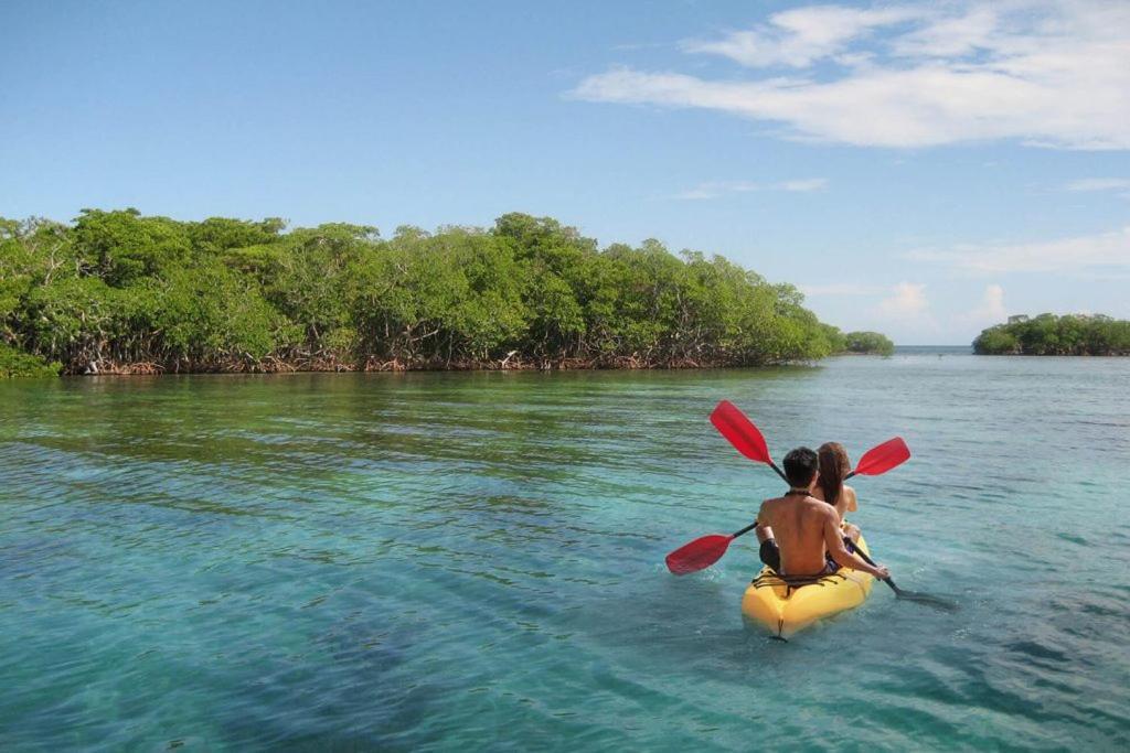 Mi Habitat Holbox-Maravilla Natural ภายนอก รูปภาพ