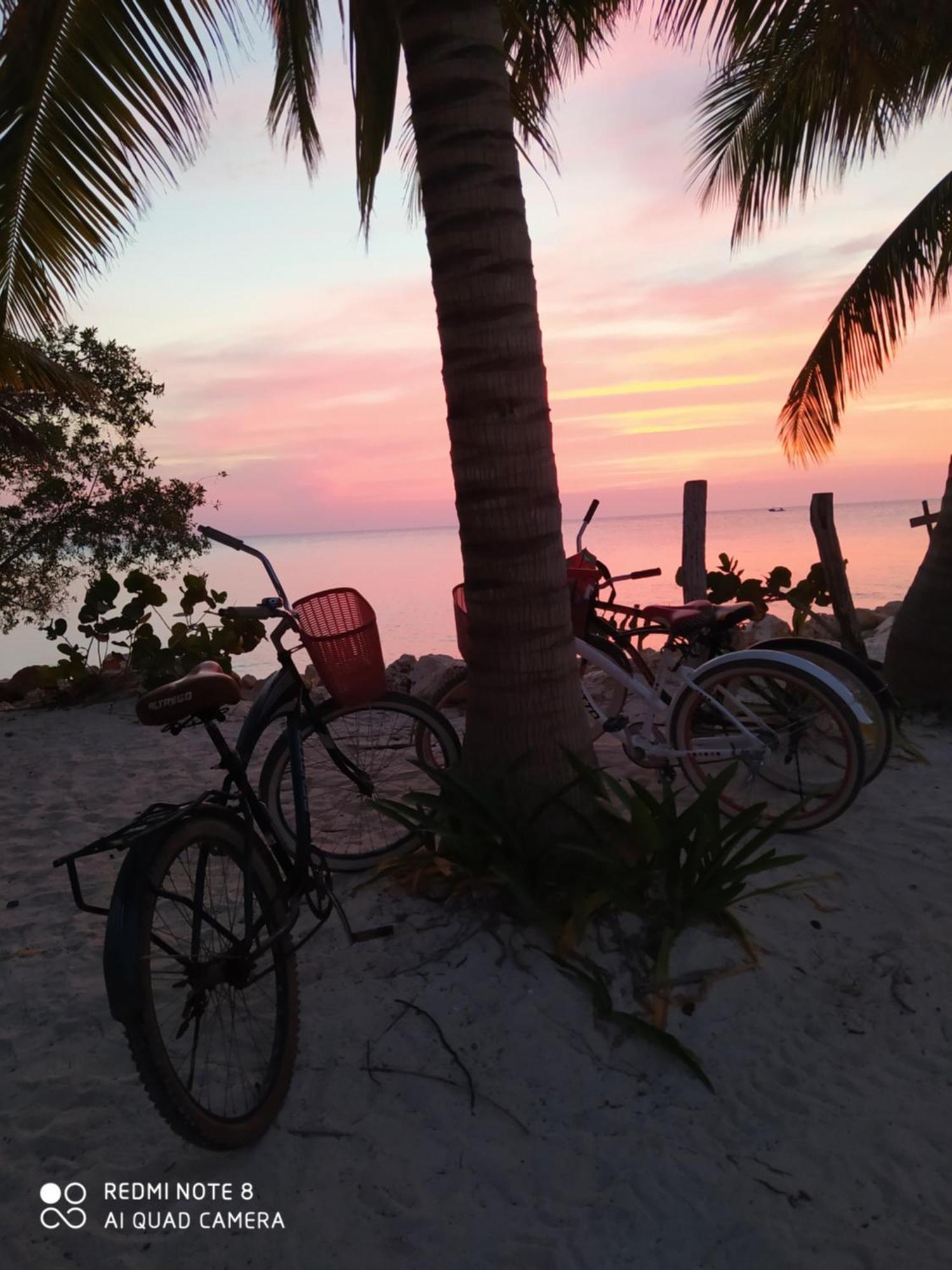 Mi Habitat Holbox-Maravilla Natural ภายนอก รูปภาพ