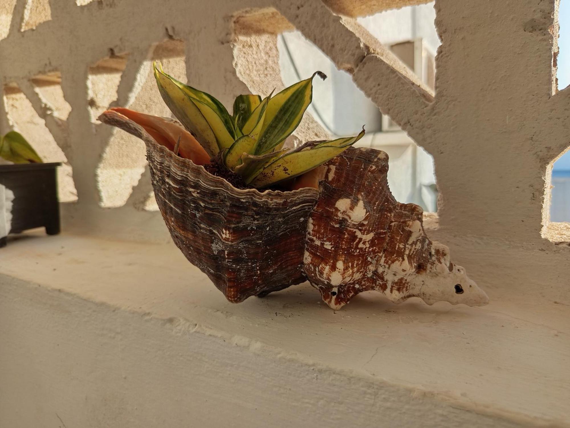 Mi Habitat Holbox-Maravilla Natural ภายนอก รูปภาพ