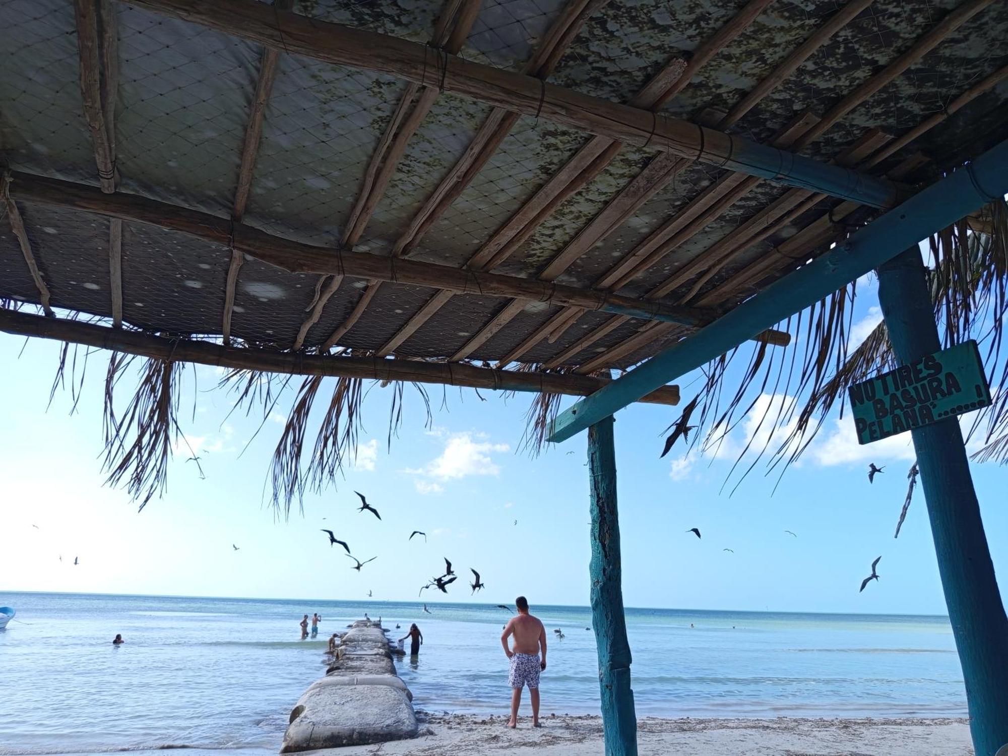 Mi Habitat Holbox-Maravilla Natural ภายนอก รูปภาพ